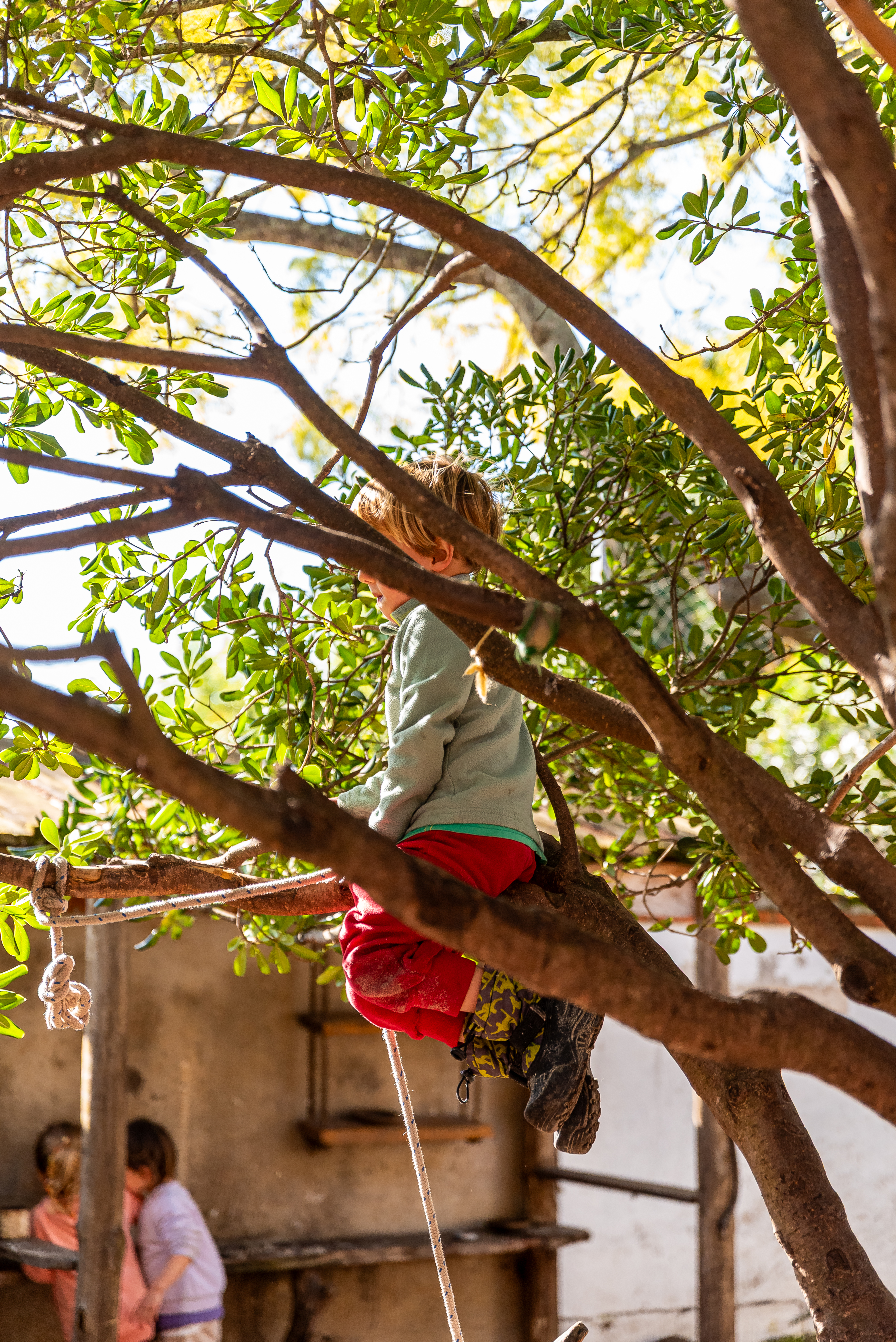 Niños en juego libre en el jardín
