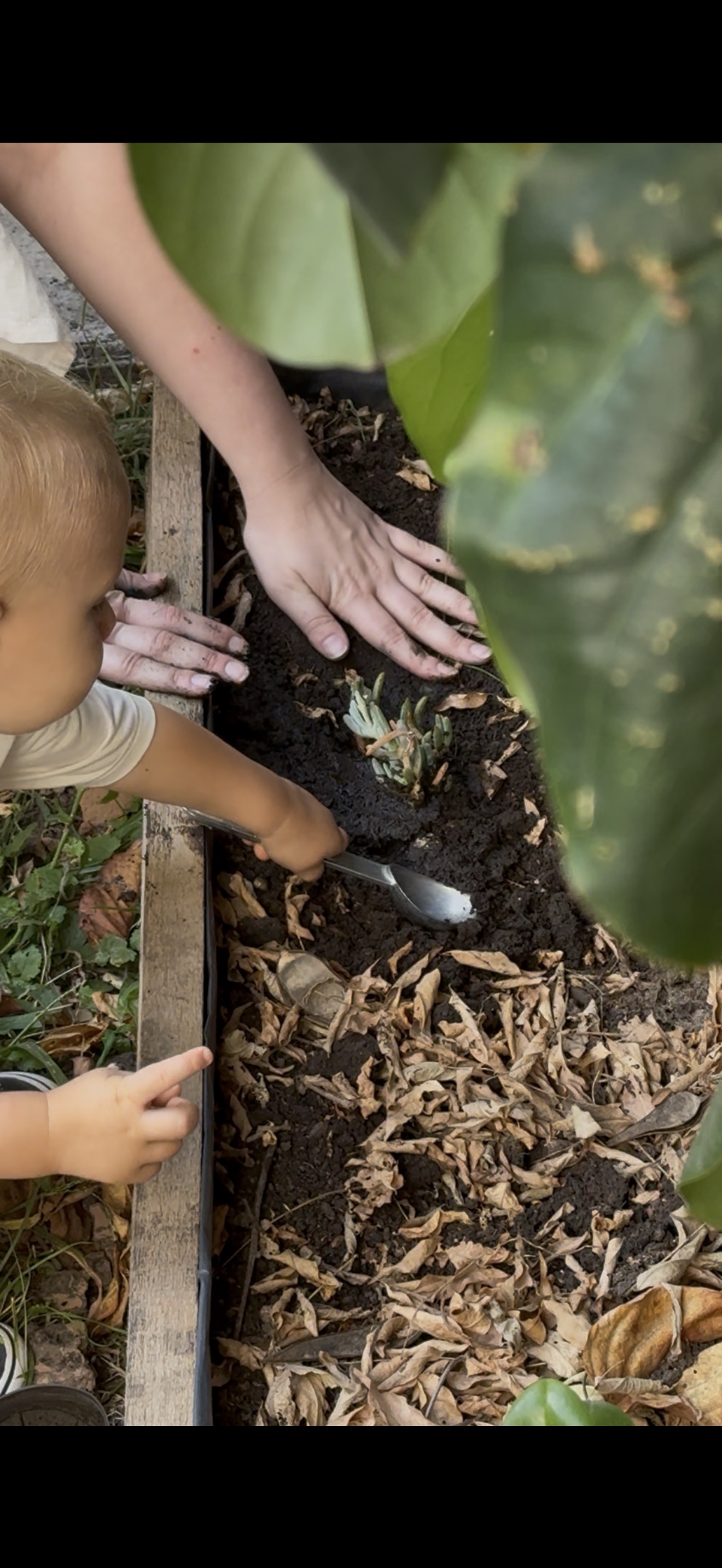 Niños explorando la huerta en la Sala Maternal