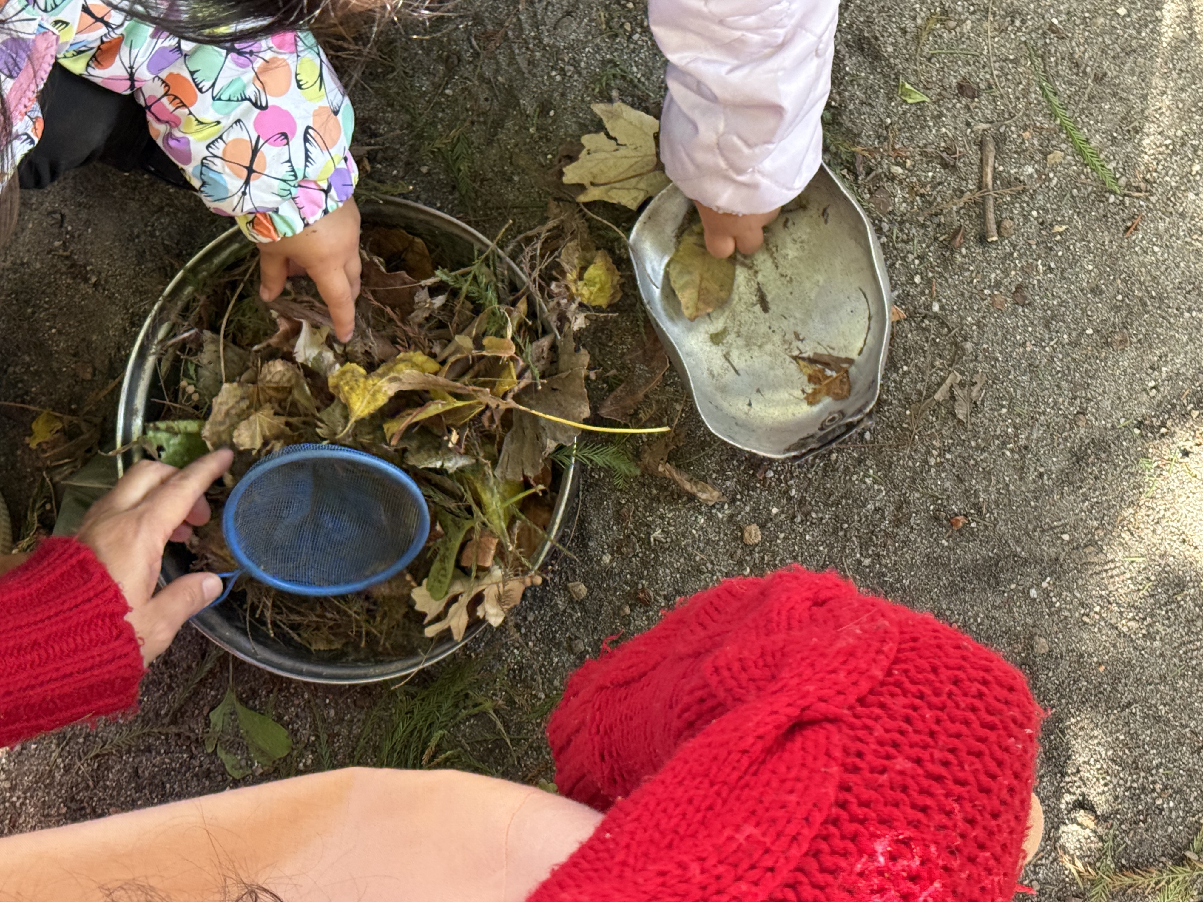 Actividades al aire libre en la Sala Maternal