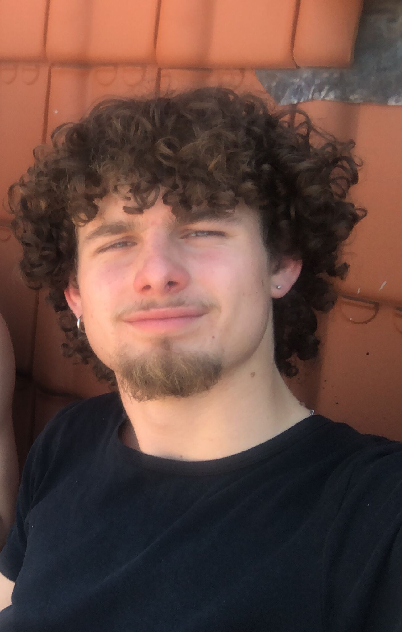 Ivo